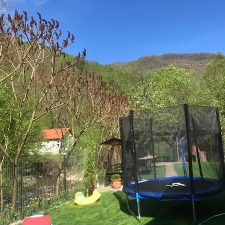 Pensiunea Silva Dobra 3* Шугаг