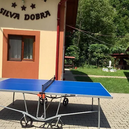 Pensiunea Silva Dobra Гостевой дом 3*