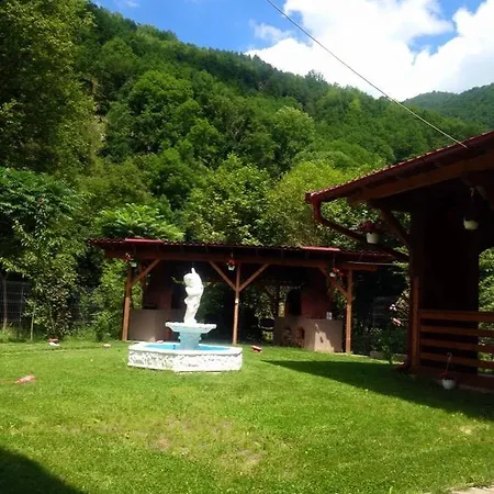 Pensiunea Silva Dobra 3* Шугаг