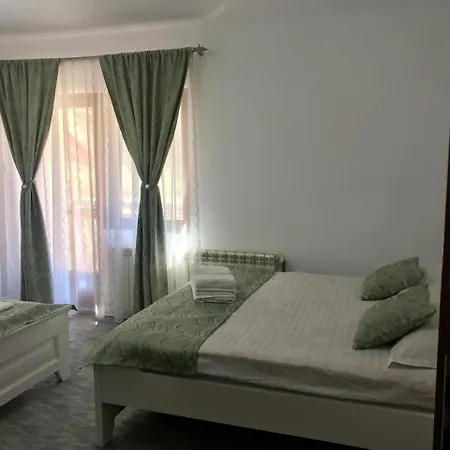 Pensiunea Silva Dobra 3* Шугаг